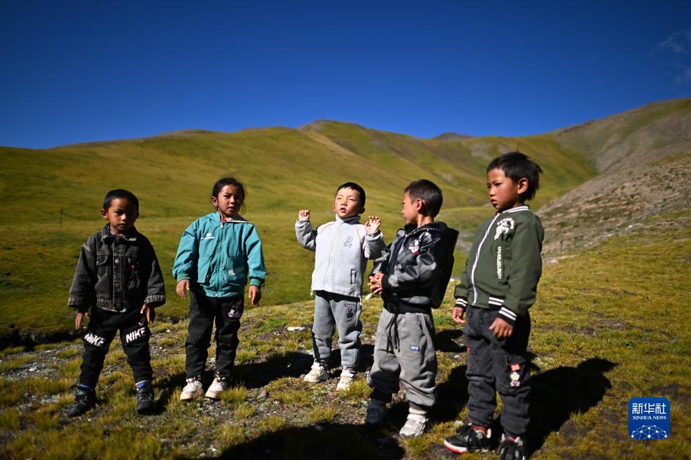 宝马游戏在线玩